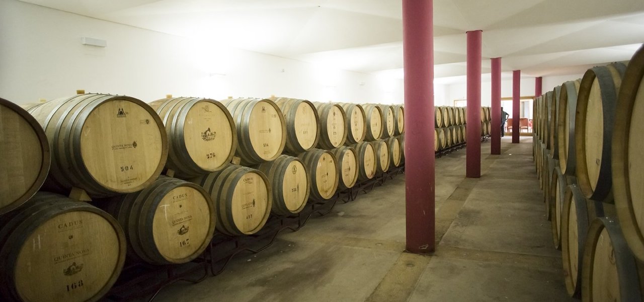 barrel cellar quinta nova